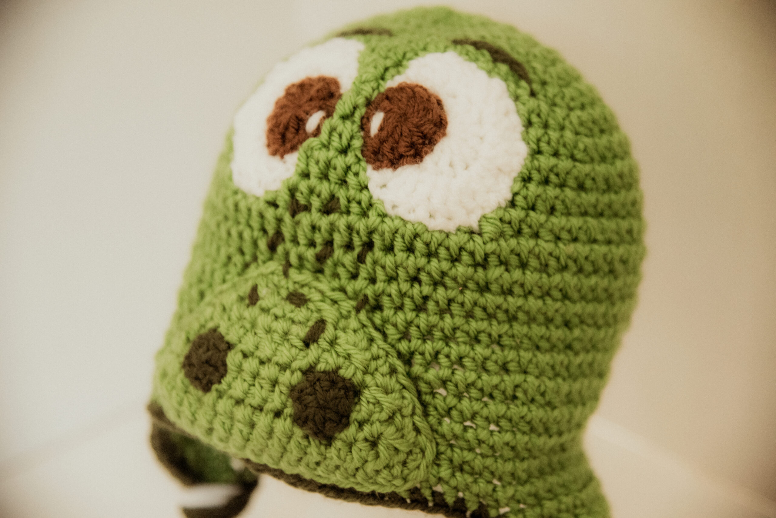 Adorable Crochet Dinosaur Hat Pattern for Kids